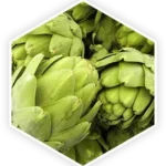 prostavive_ingredients_artichoke_extract