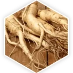 prostavive_ingredients_panax_ginseng
