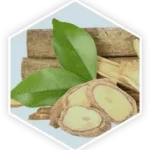 prostavive_ingredients_tongkat_ali